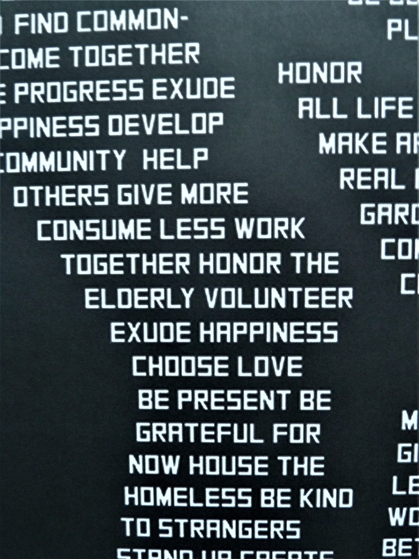 Ann LEWIS : The Revolution Evolves - Affiche originale