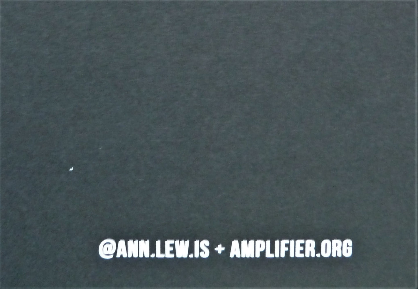 Ann LEWIS : The Revolution Evolves - Affiche originale