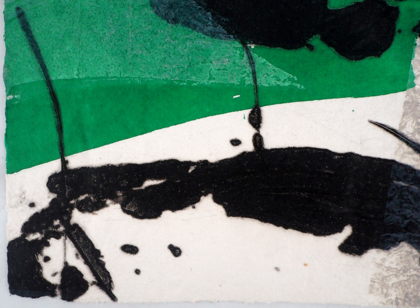 LIONEL : L'Origine du vert - Gravure originale signée