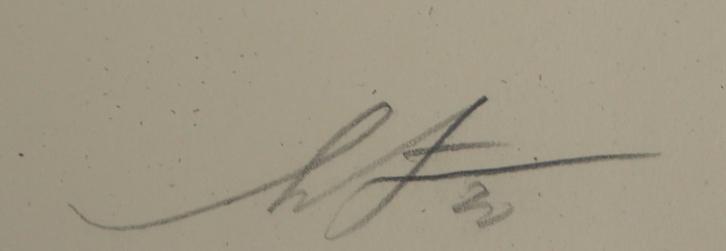 Shepard FAIREY (OBEY) : Stop the Violence - Lithographie originale signée