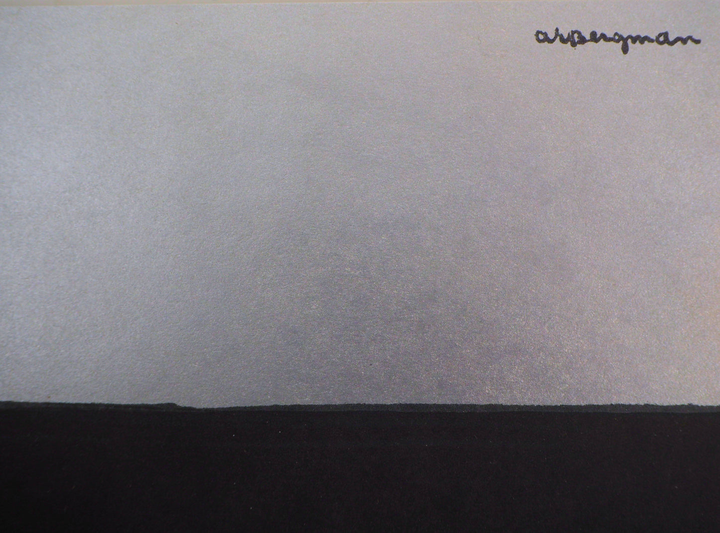 Anna Eva BERGMAN : Navigation - Lithographie originale signée