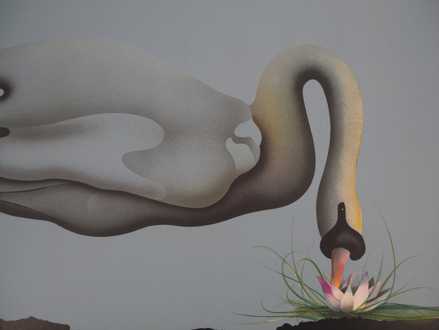 Jean Paul DONADINI : Le cygne et le nénuphar - Lithographie Originale Signée