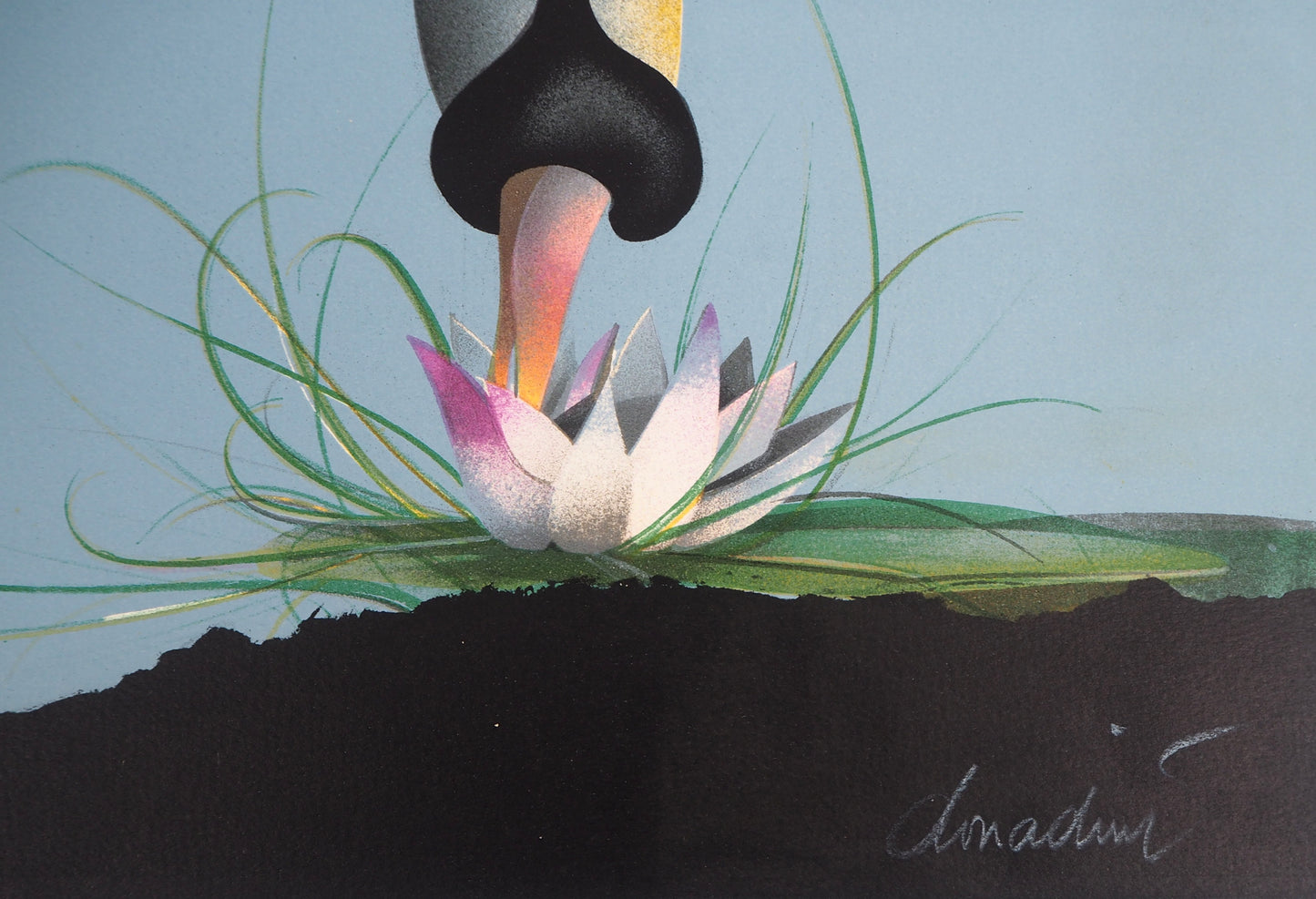 Jean Paul DONADINI : Le cygne et le nénuphar - Lithographie Originale Signée