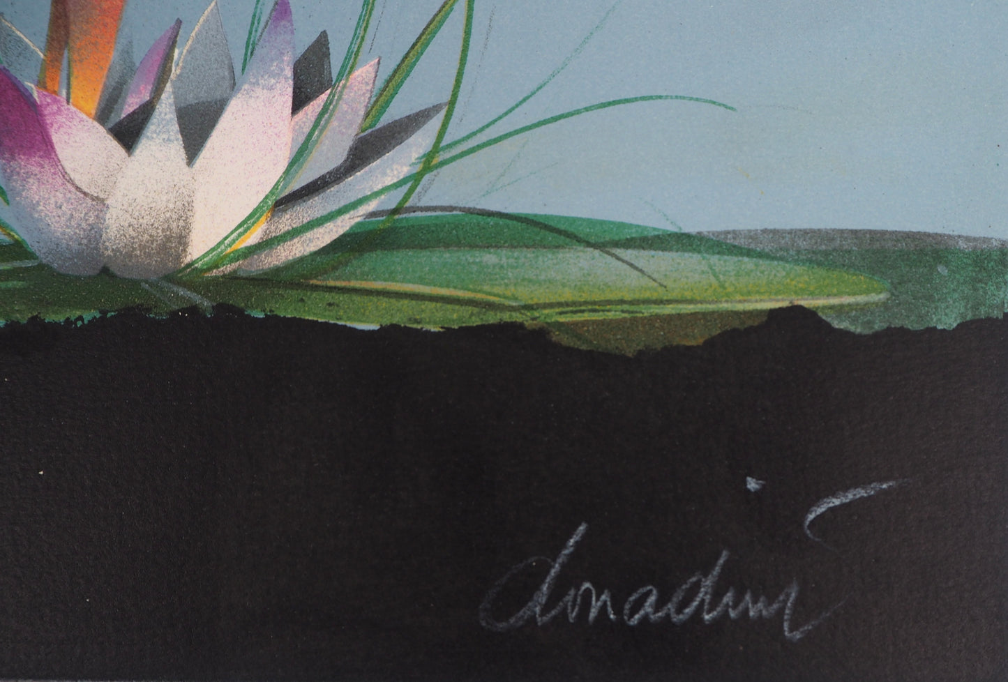 Jean Paul DONADINI : Le cygne et le nénuphar - Lithographie Originale Signée