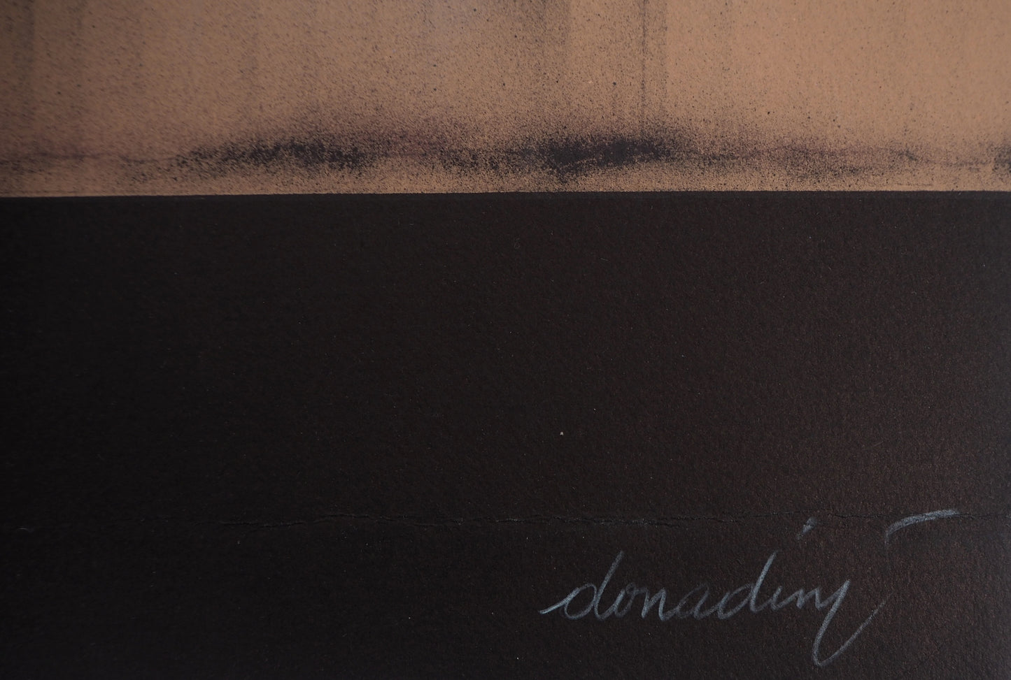 Jean Paul DONADINI : Le cygne dans le carton - Lithographie Originale Signée