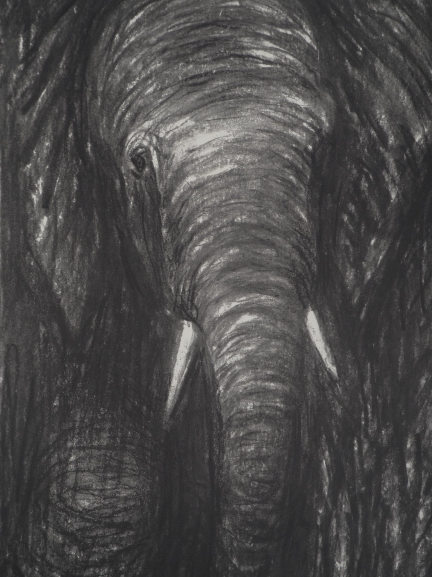 Henry MOORE : Eléphants dans la forêt - Lithographie signée