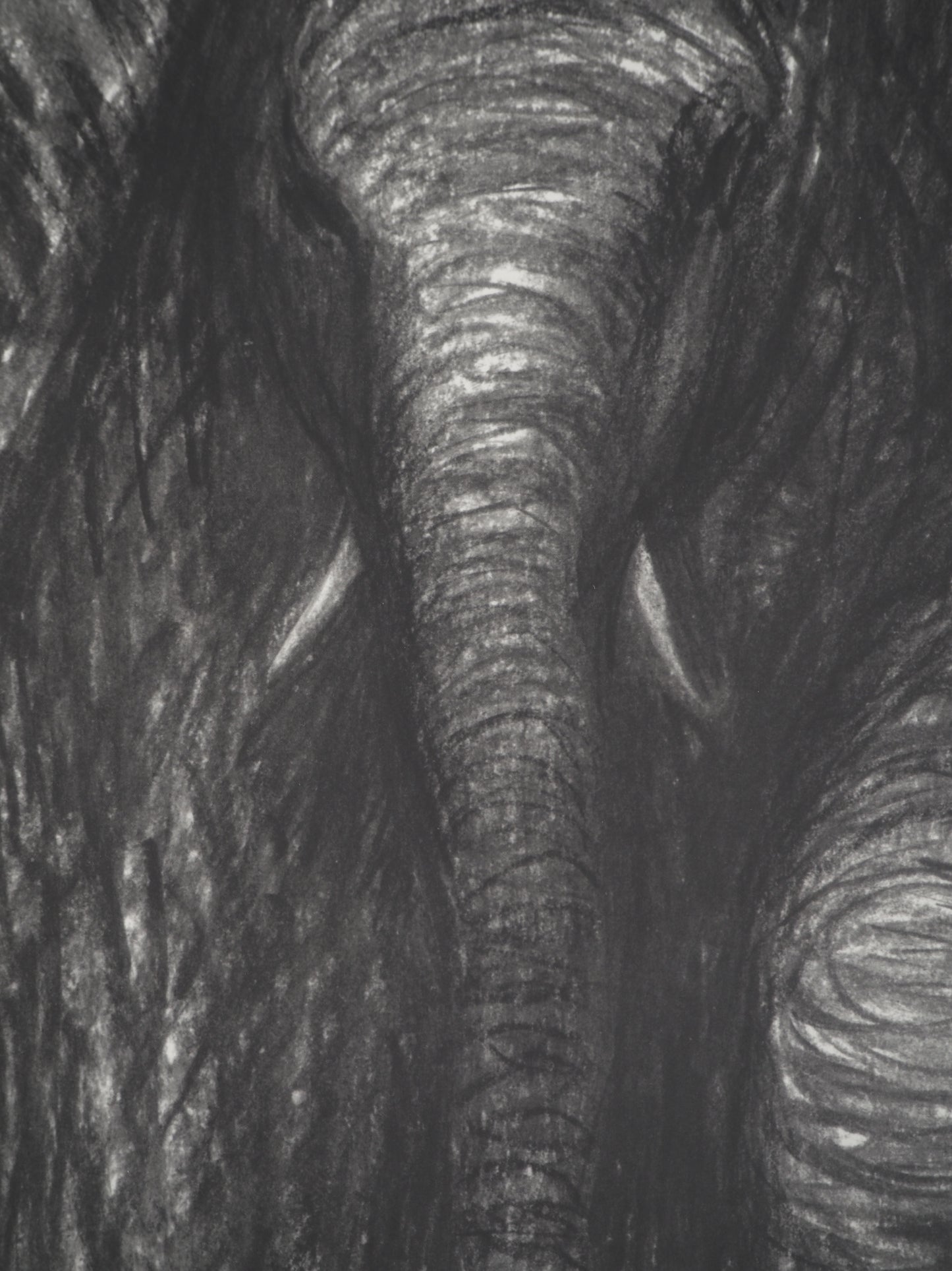 Henry MOORE : Eléphants dans la forêt - Lithographie signée