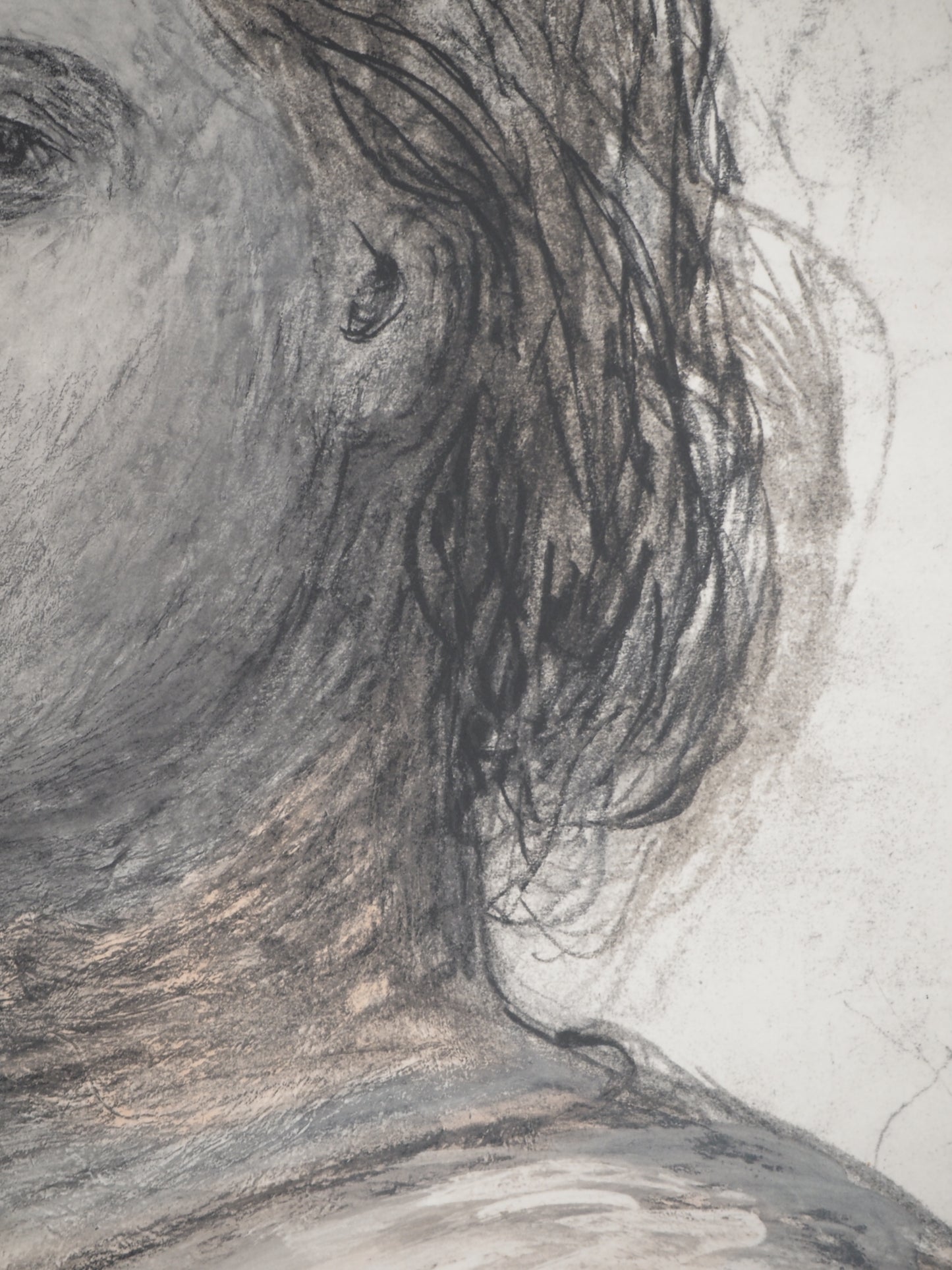 Henry MOORE : Portrait de femme - Lithographie signée