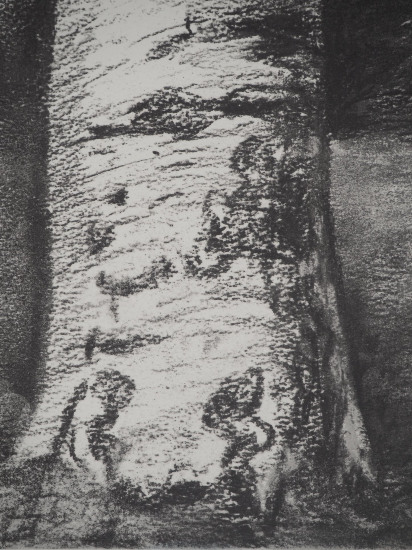 Henry MOORE : Tronc de hêtre - Lithographie signée
