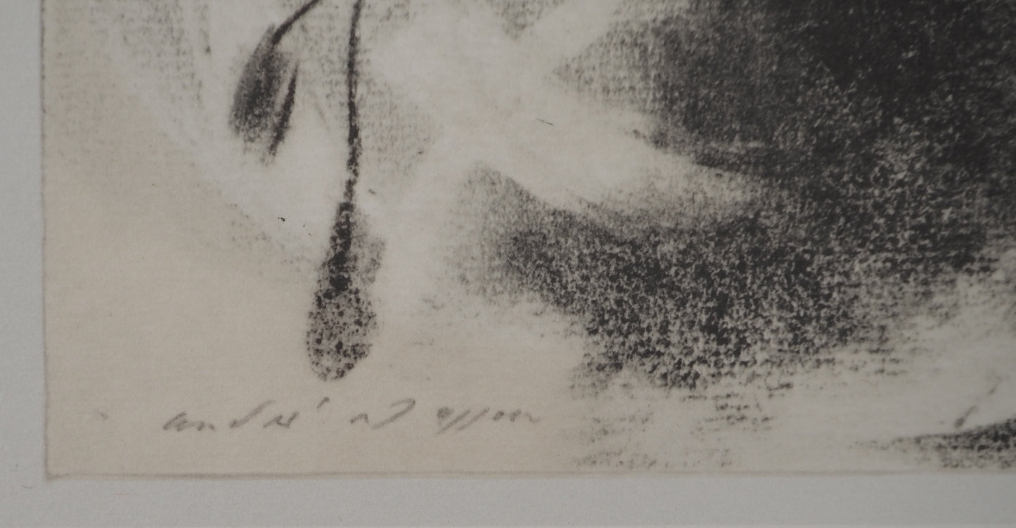 André MASSON : Antilles - Lithographie signée