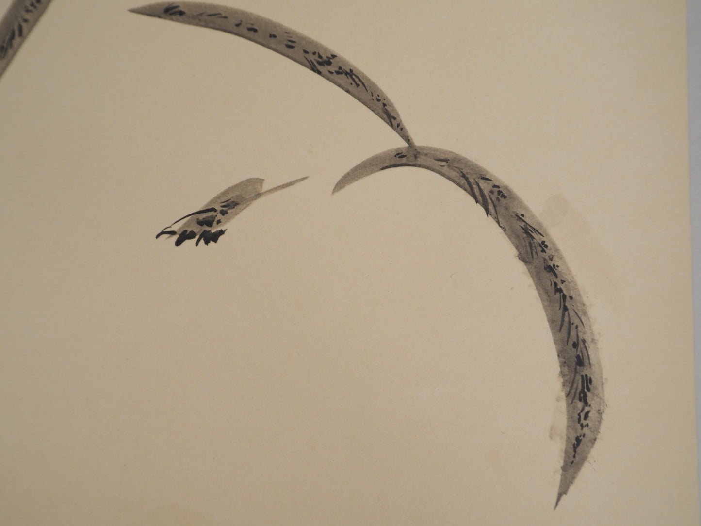 André MASSON : Fouine - Lithographie signée