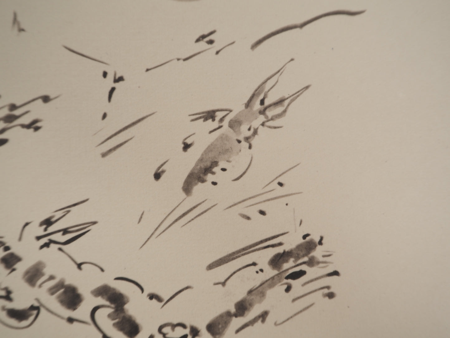 André MASSON : Le lapin - Lithographie signée