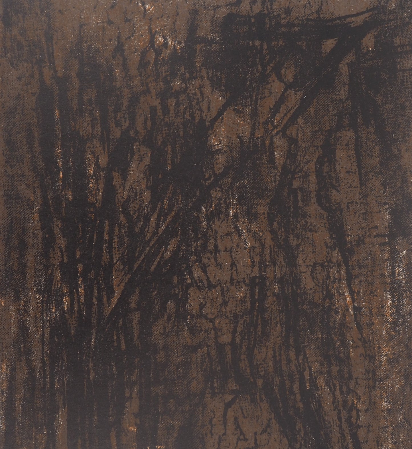 Maria Helena VIEIRA DA SILVA : Terre du Portugal - Lithographie originale