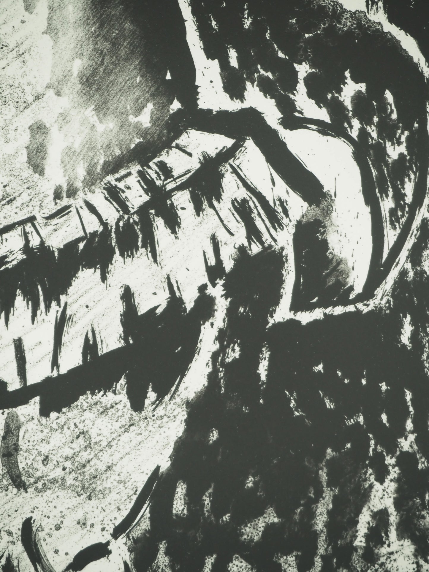 Roger CRUSAT : La bouffonnerie sans couleur - Lithographie originale