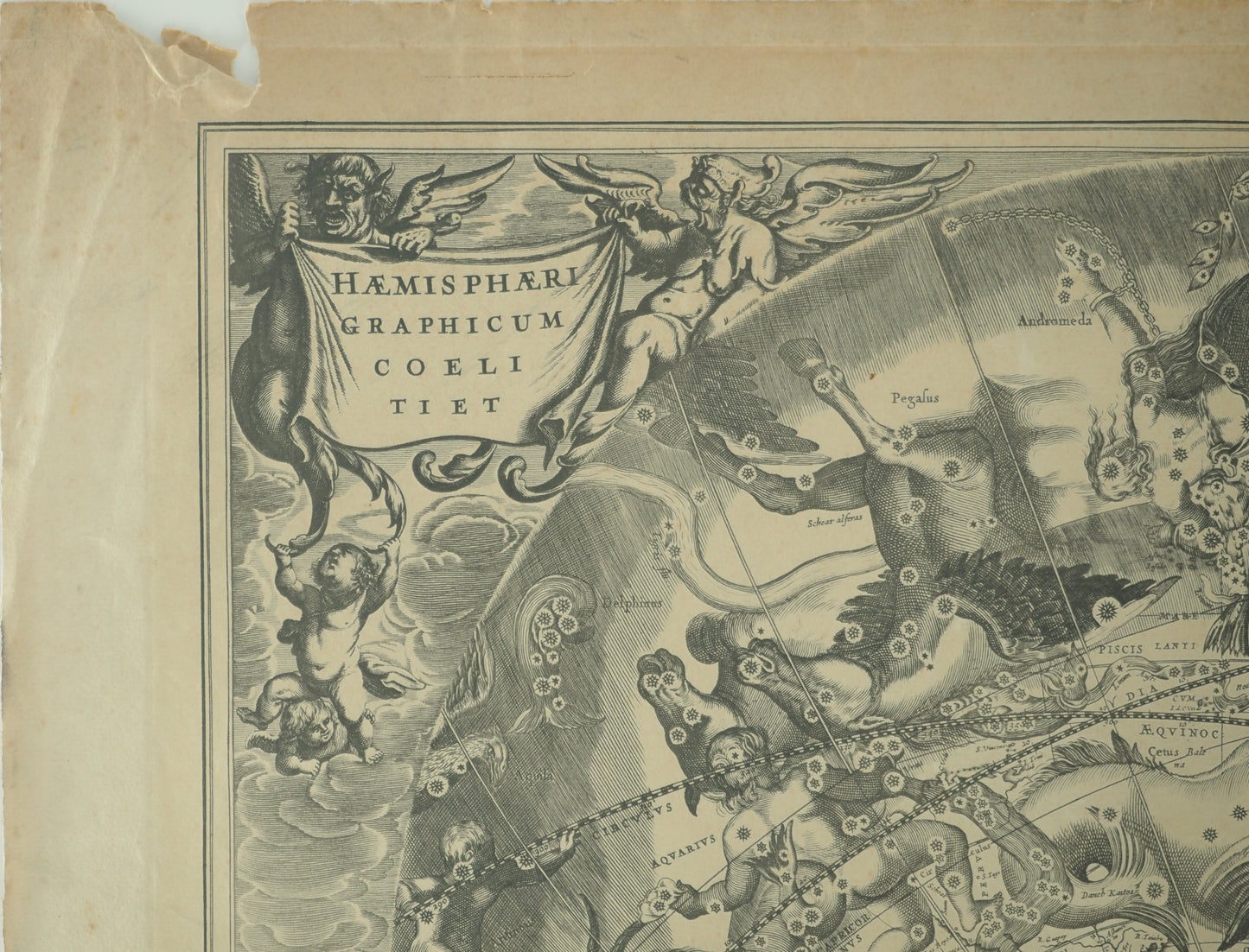 Hendrik HONDIUS : Carte céleste vue du pôle sud - Gravure