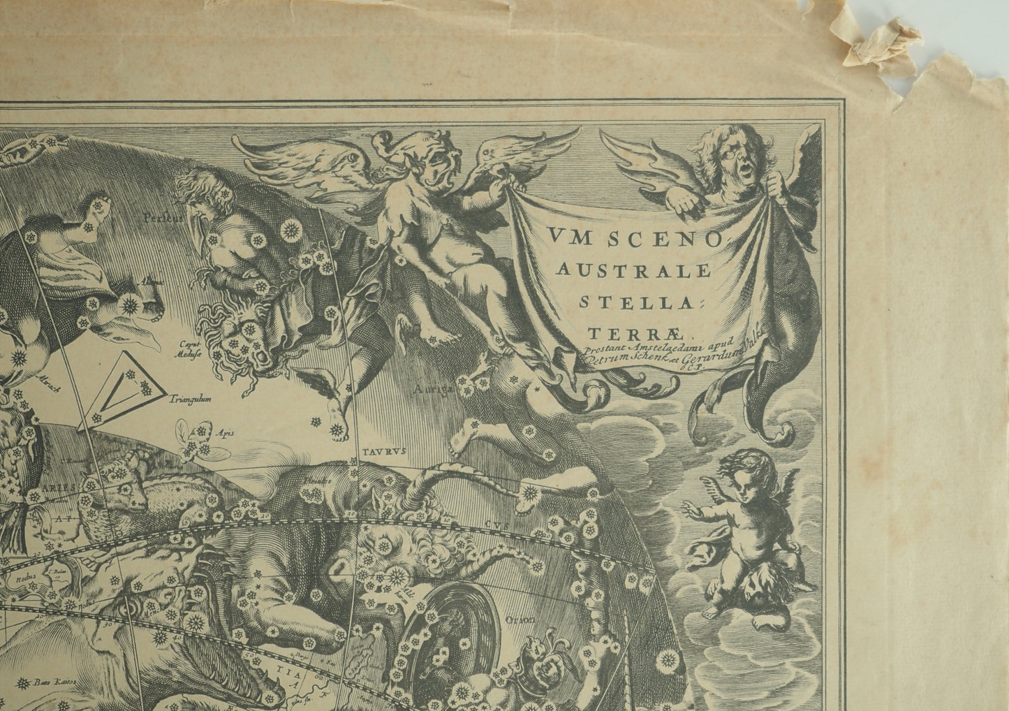 Hendrik HONDIUS : Carte céleste vue du pôle sud - Gravure