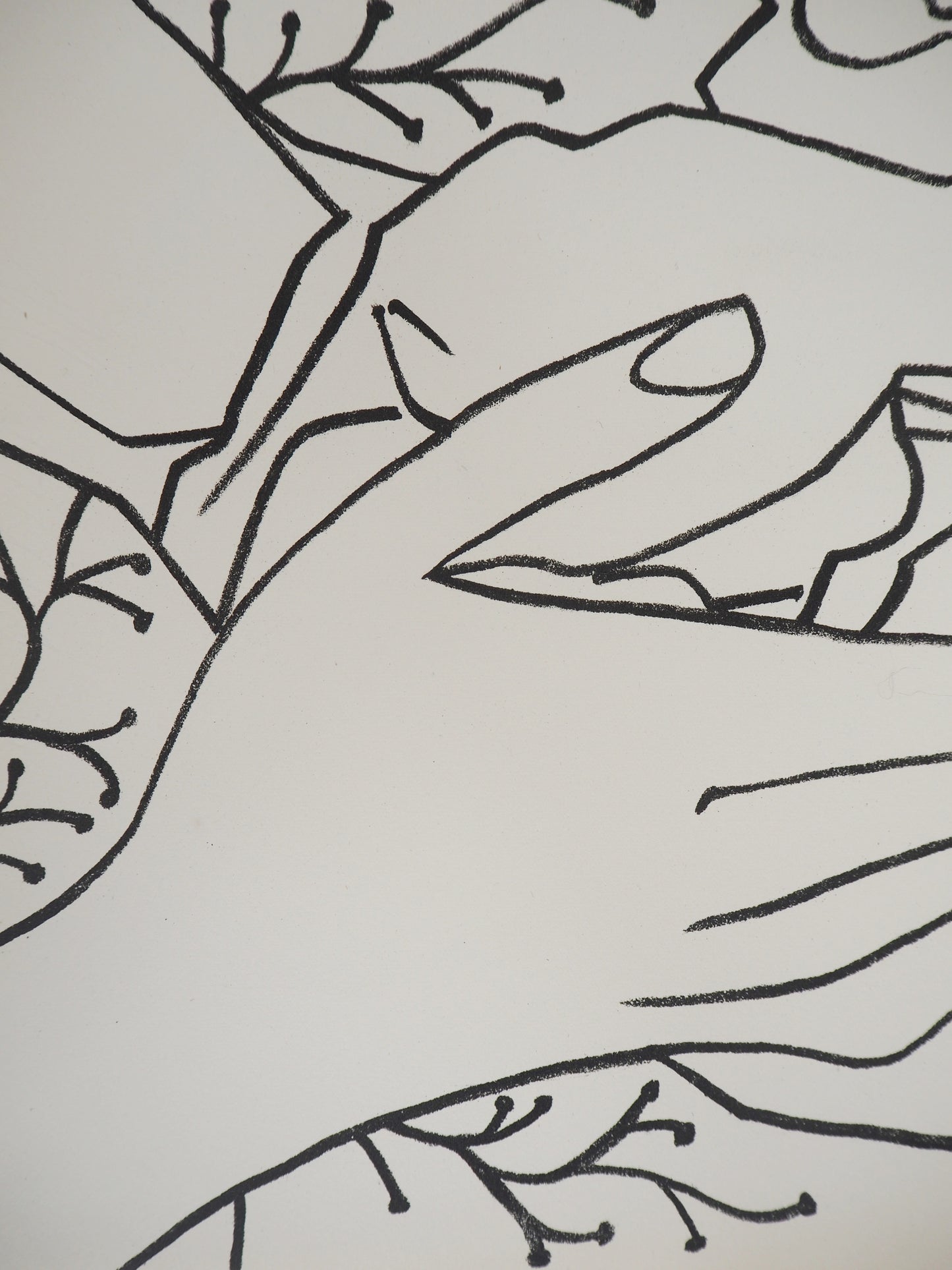 Françoise GILOT : La caresse - Lithographie originale