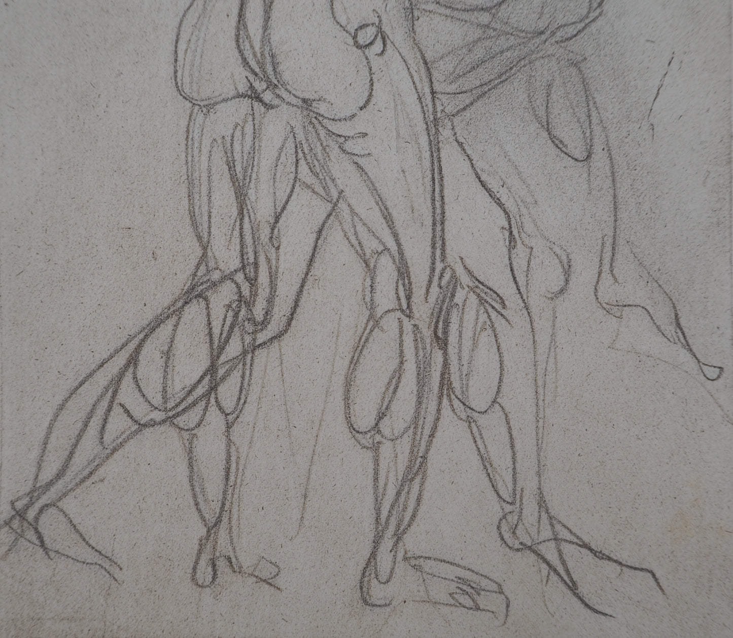 Auguste RODIN : Etude de la lutte - Gravure