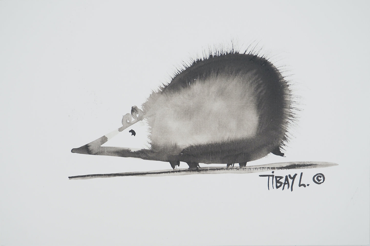 Laszlo TIBAY : L'hérisson - Dessin original signé
