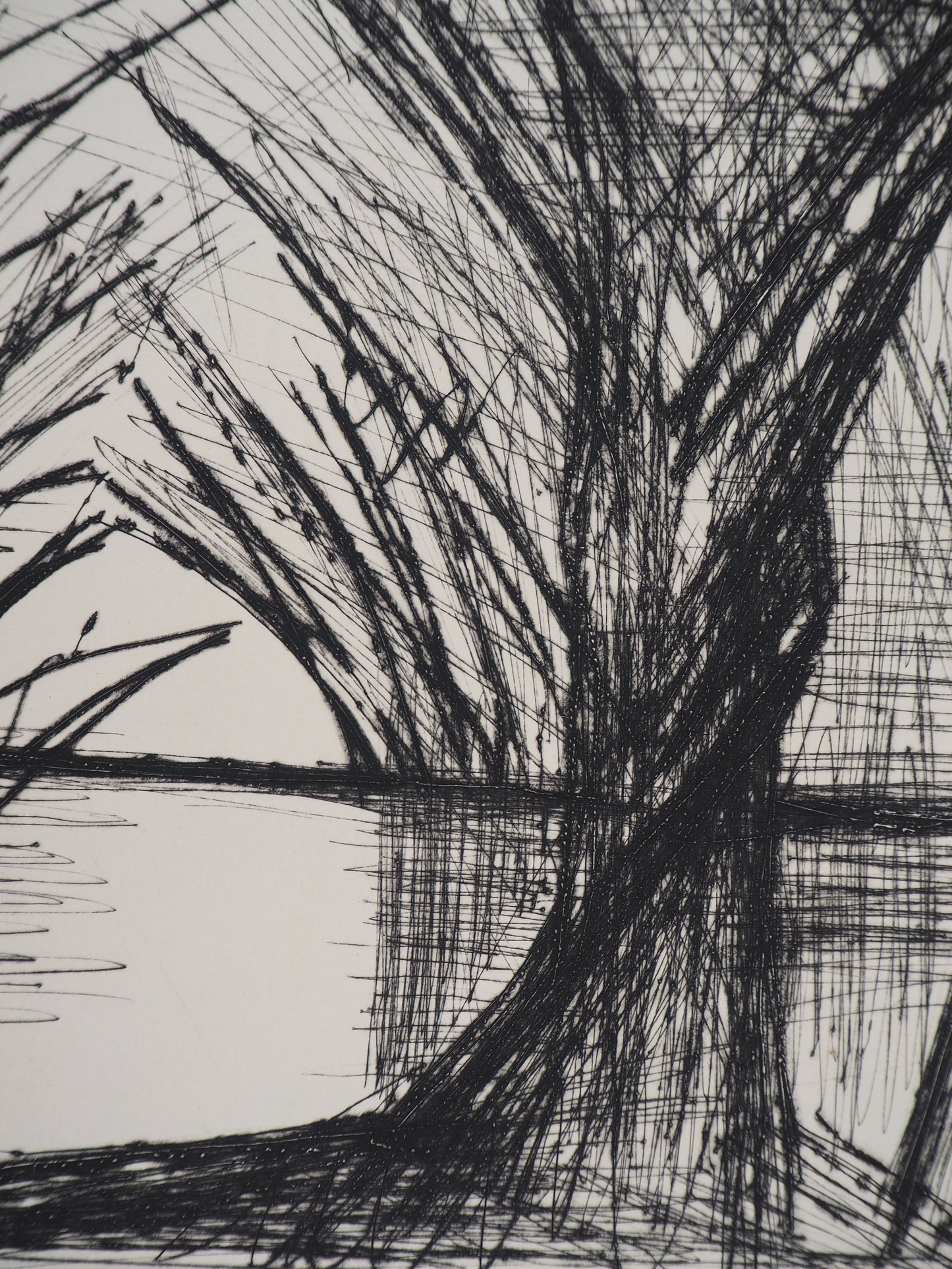 Bernard BUFFET : Cathédrale d'arbres - Gravure originale