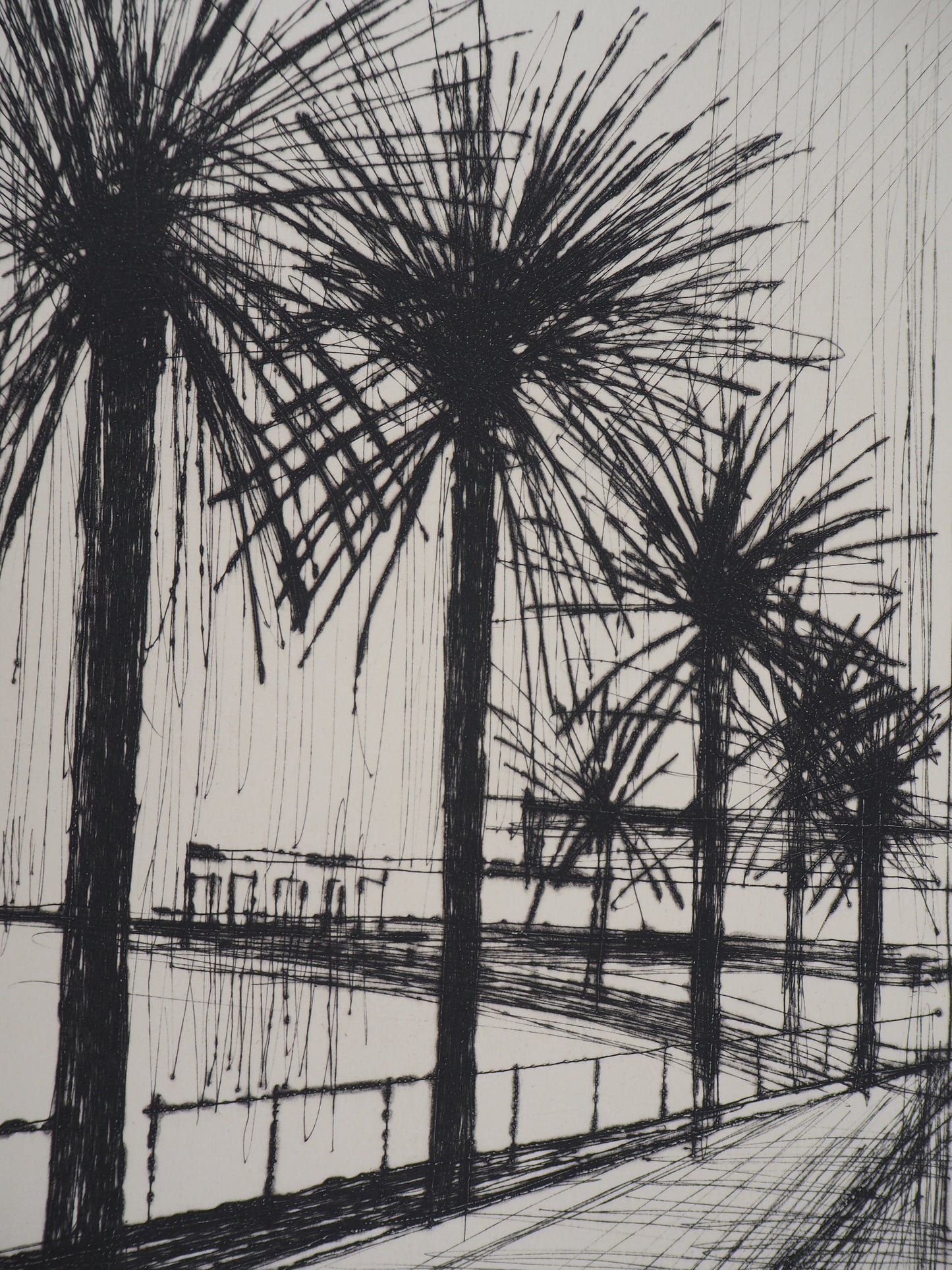 Bernard BUFFET : Palmiers le long de la plage - Gravure originale