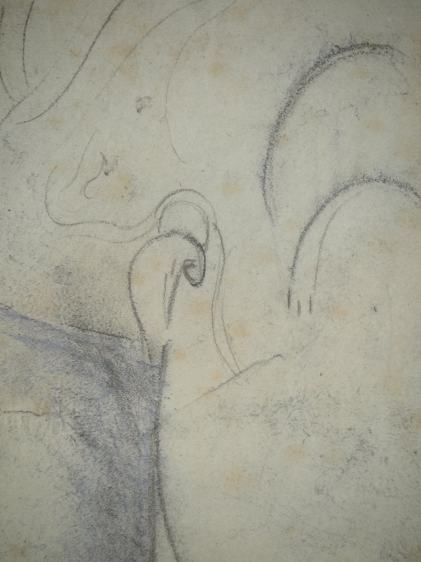 Amedeo MODIGLIANI : Homme de profil - Lithographie signée