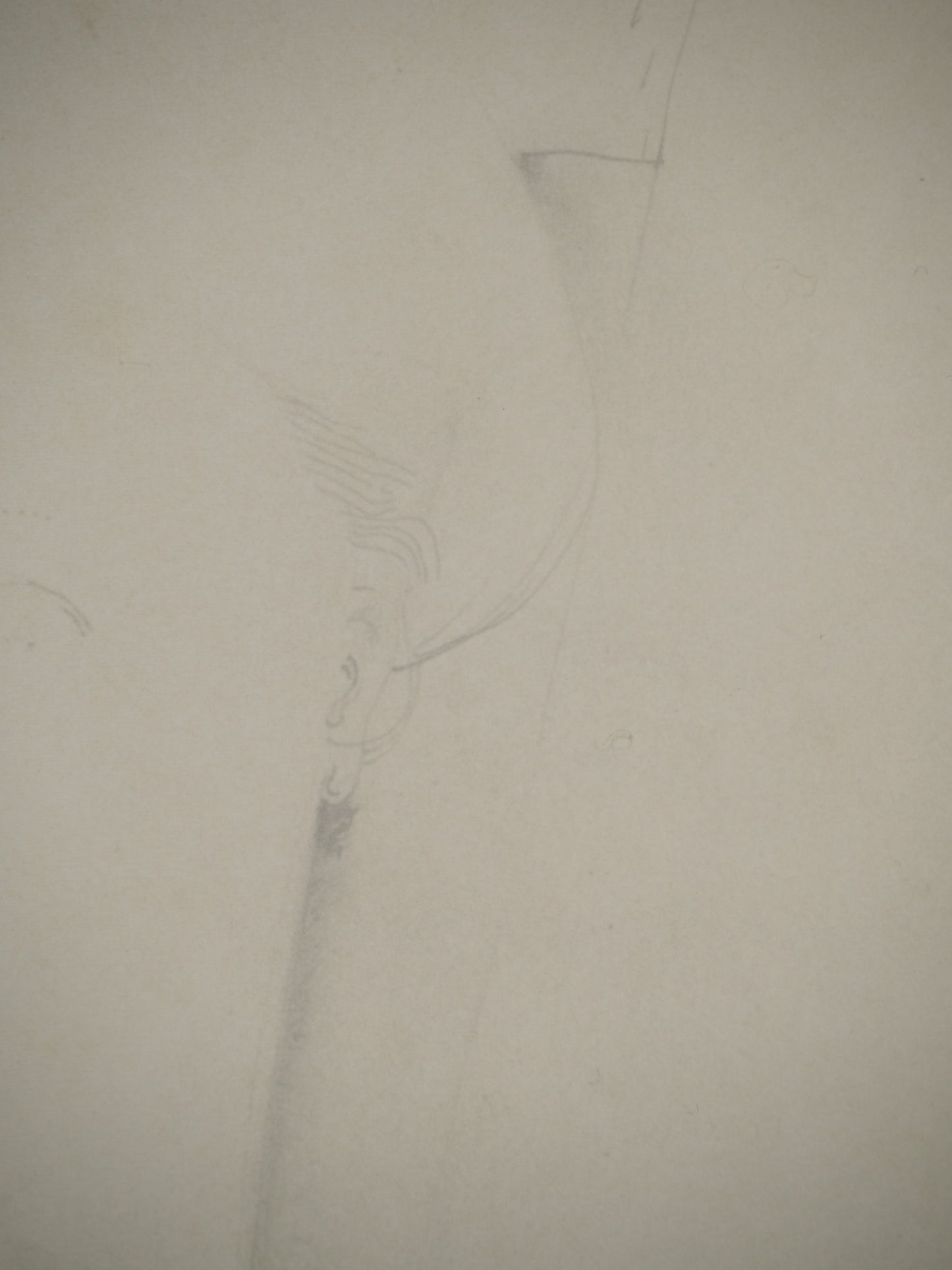 Amedeo MODIGLIANI : Portrait de femme - Lithographie signée