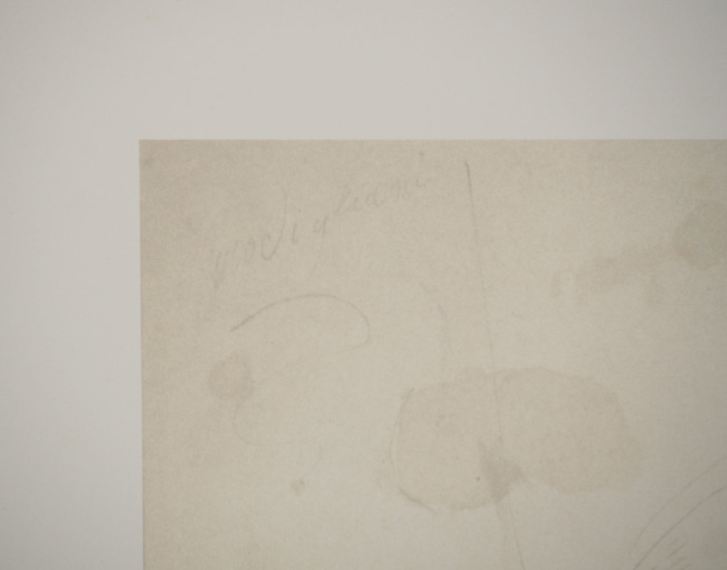 Amedeo MODIGLIANI : Portrait de femme - Lithographie signée