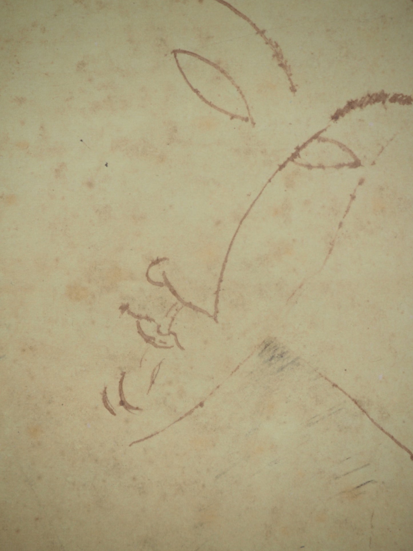 Amedeo MODIGLIANI : La jeune femme au chignon- Lithographie signée