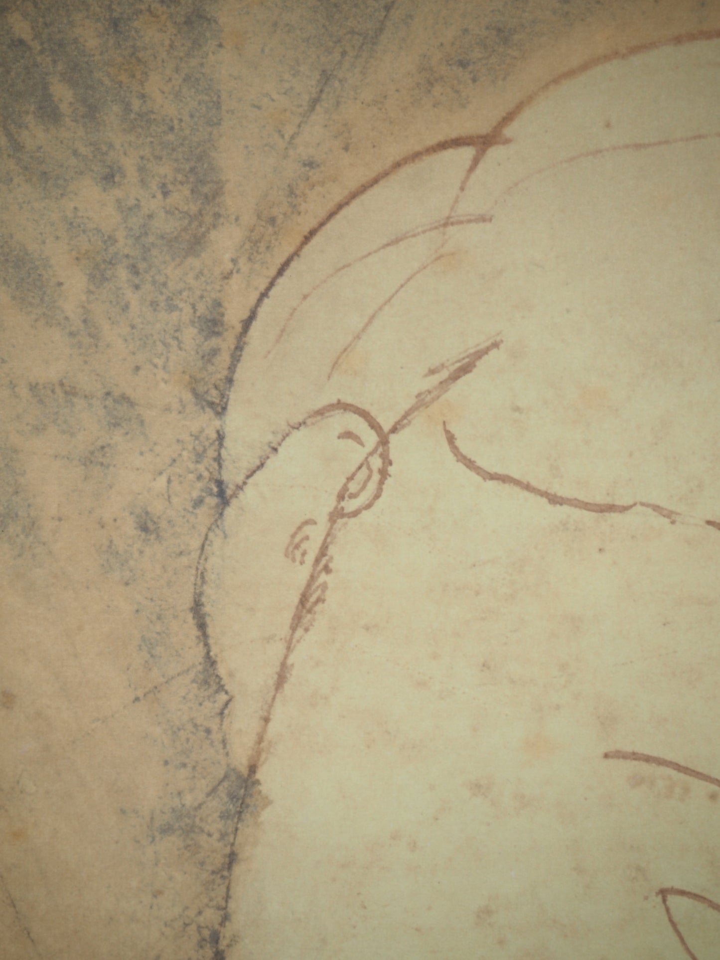 Amedeo MODIGLIANI : La jeune femme au chignon- Lithographie signée