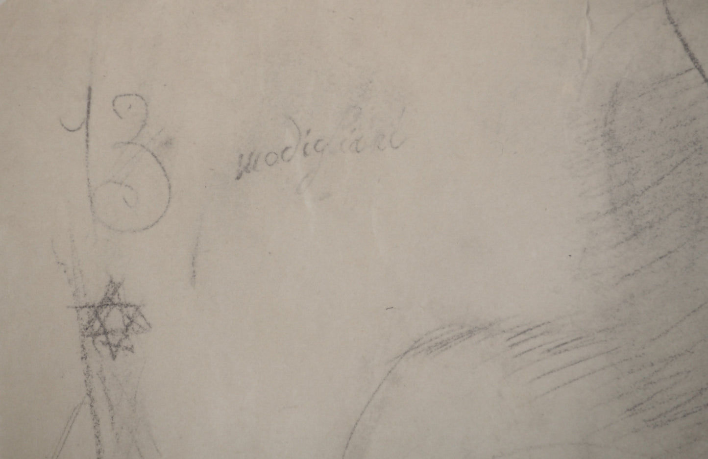 Amedeo MODIGLIANI : Portrait du jeune garçon - Lithographie signée