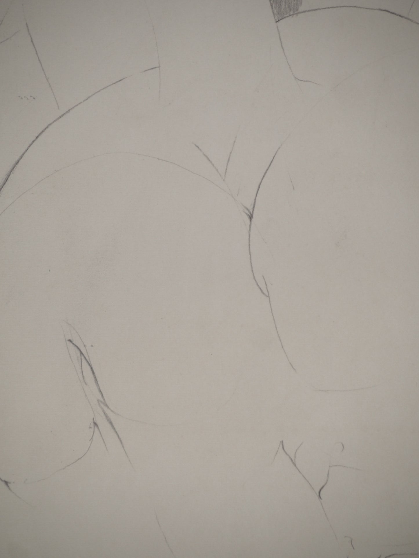 Amedeo MODIGLIANI : Portrait en rondeur - Lithographie signée
