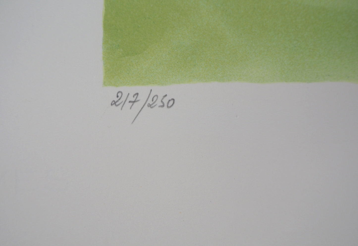 Yves BRAYER : Course d'obstacles - Lithographie originale signée