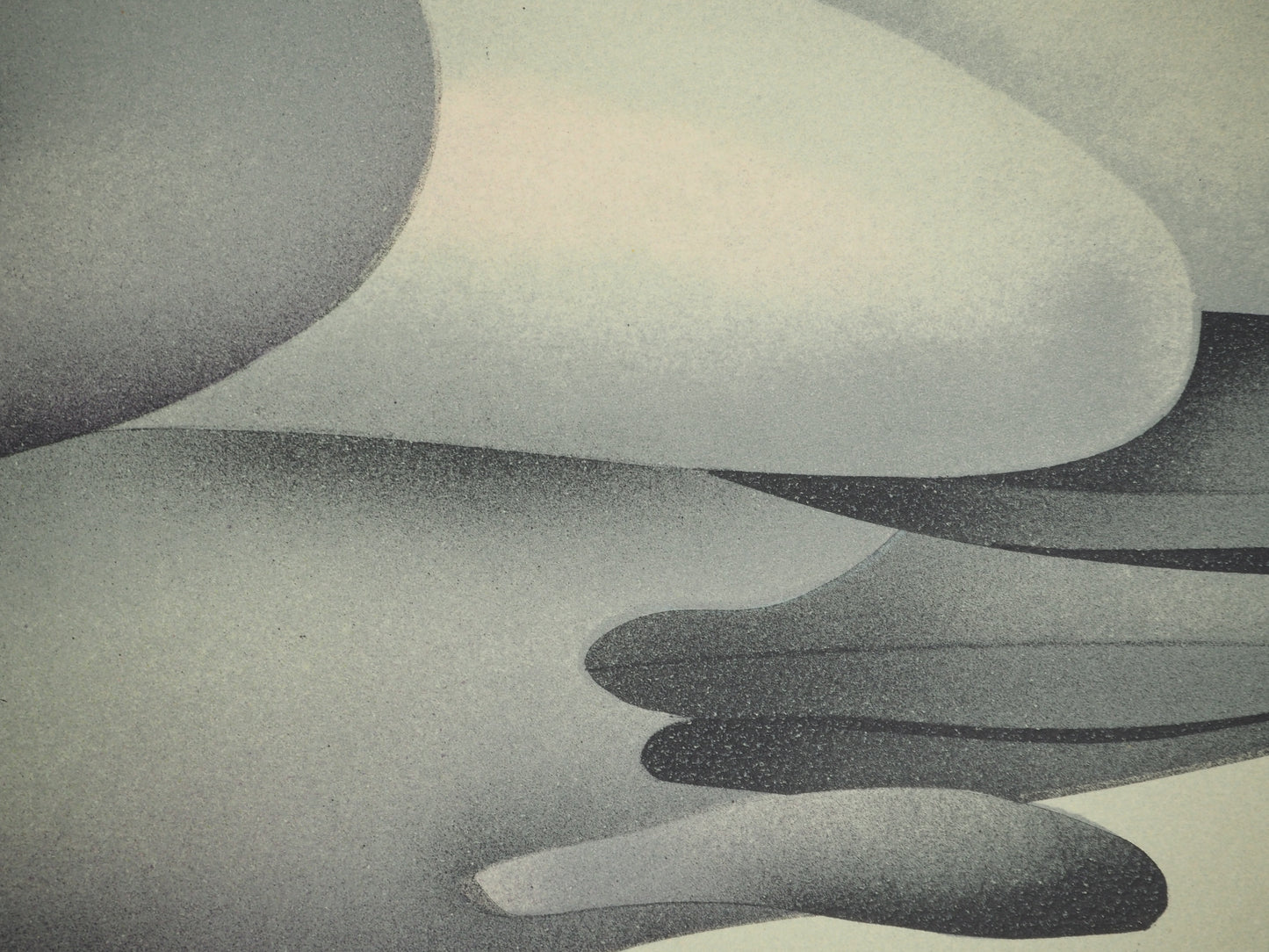 Jean Paul DONADINI : Le cygne assoupi - Lithographie Originale Signée