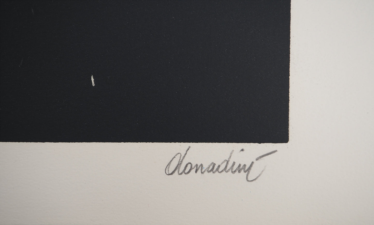 Jean Paul DONADINI : Le pigeon voyageur - Lithographie Originale Signée