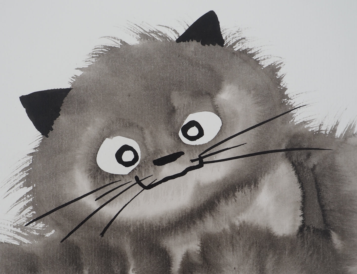 Laszlo TIBAY : Chat allongé - Dessin original signé