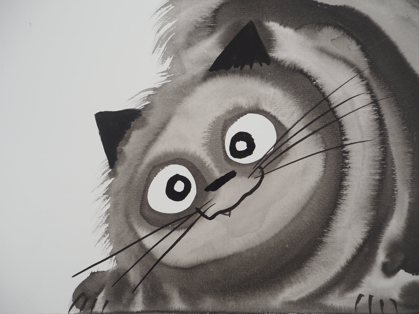 Laszlo TIBAY : Petite boule de chat - Dessin original signé