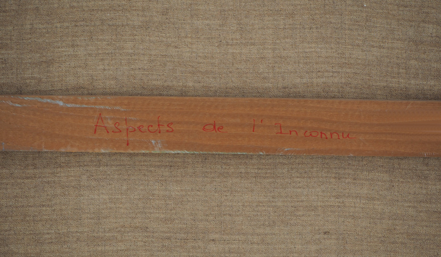 Mauro MEJIAZ : Aspects de l'inconnu - Huile sur toile
