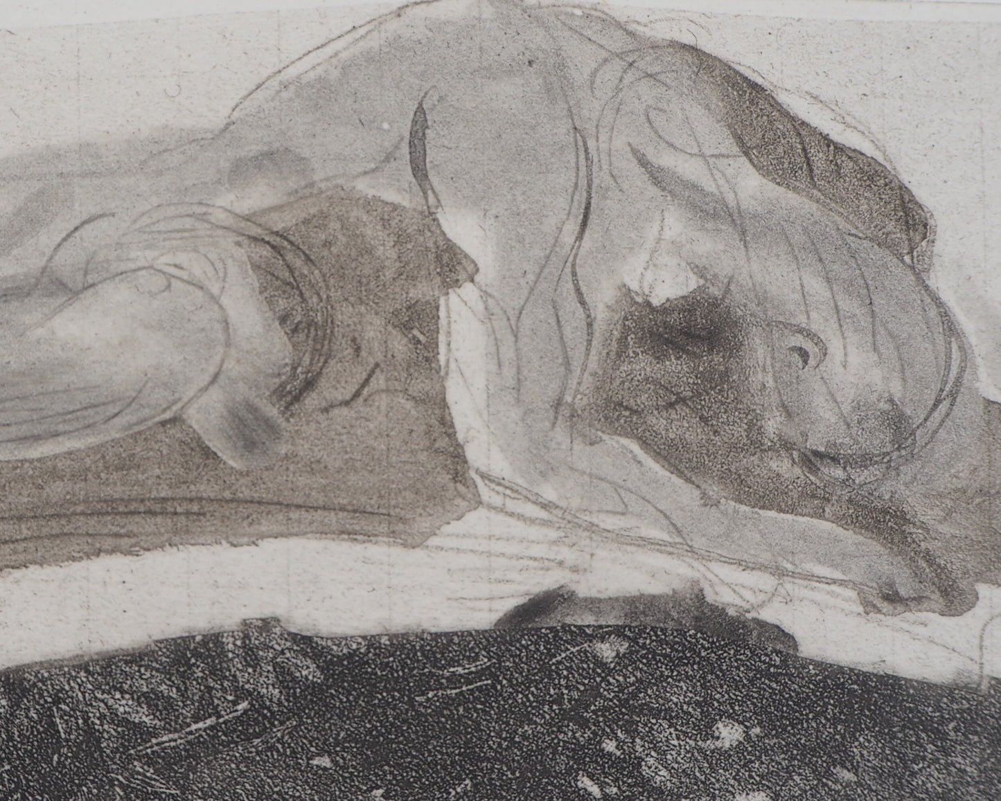 Auguste RODIN : Attaché au rocher - Gravure
