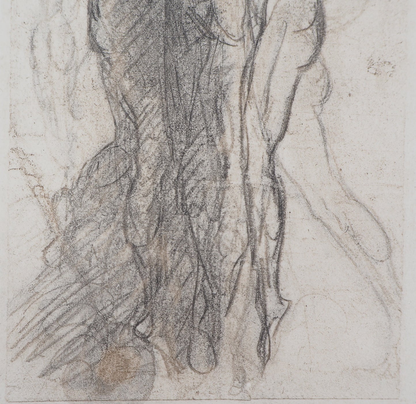 Auguste RODIN : Groupe de damnés suspendus par les bras - Gravure