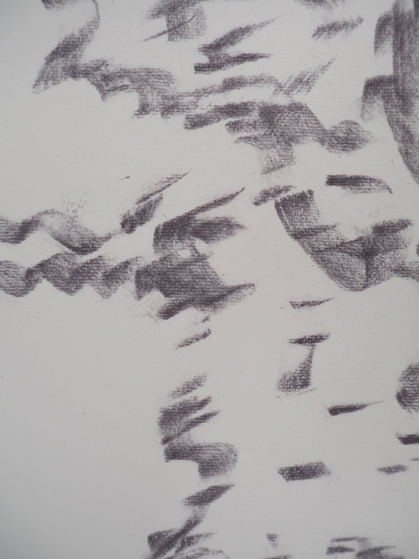 Willem DE KOONING : Femme sauvage - Lithographie