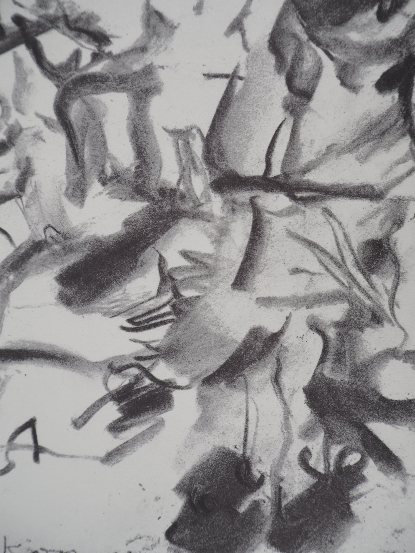 Willem DE KOONING : Atelier américain - Lithographie signée