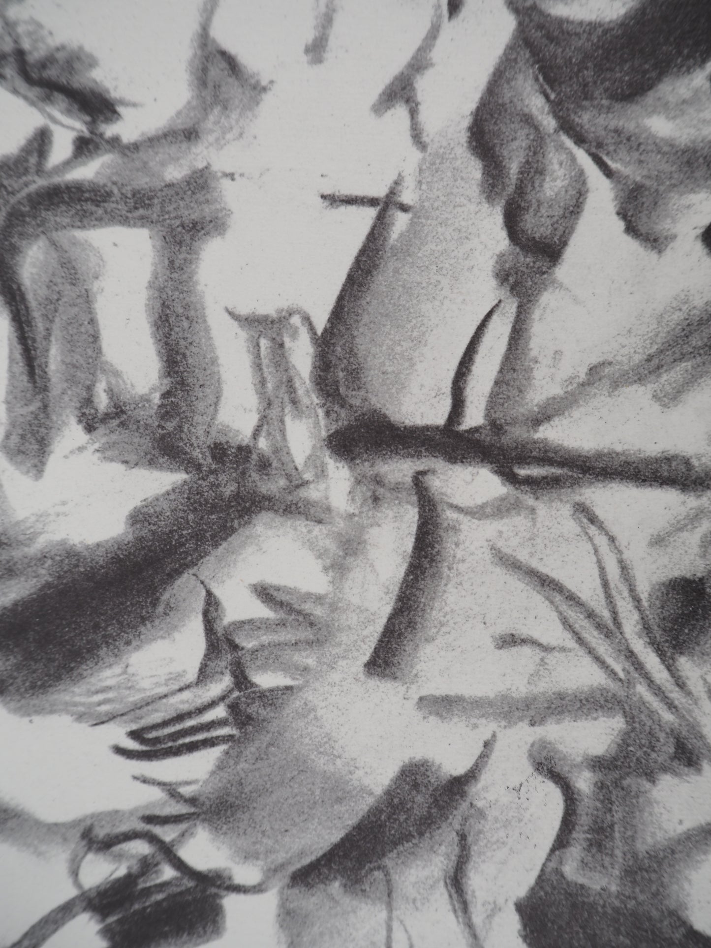 Willem DE KOONING : Atelier américain - Lithographie signée