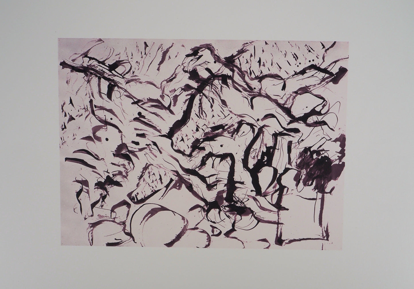 Willem DE KOONING : Spolète sauvage - Lithographie