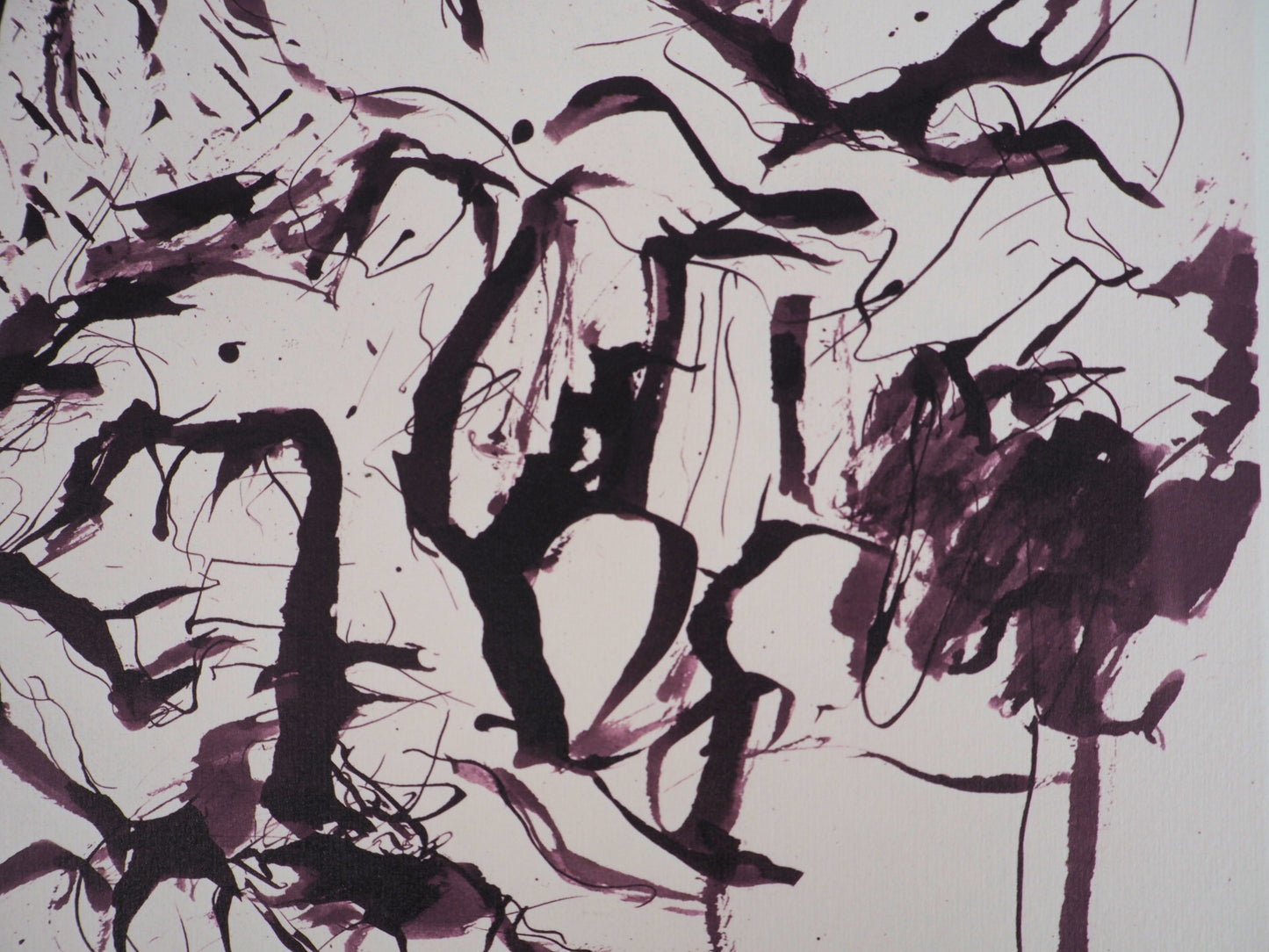Willem DE KOONING : Spolète sauvage - Lithographie