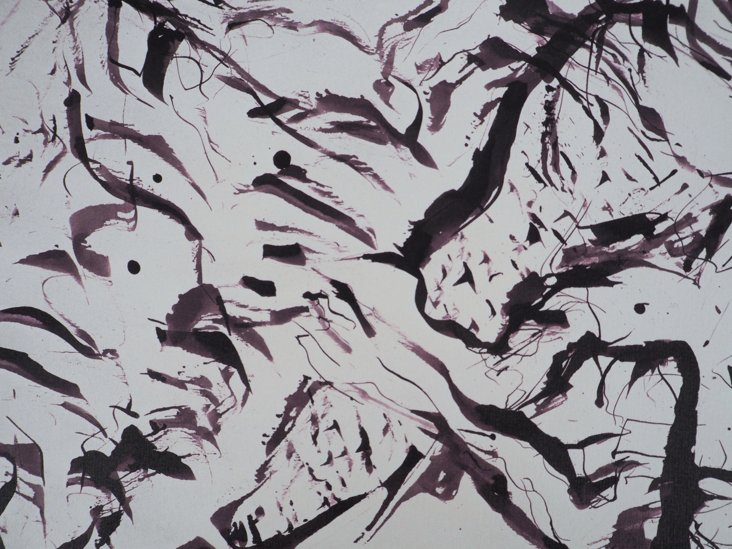 Willem DE KOONING : Spolète sauvage - Lithographie