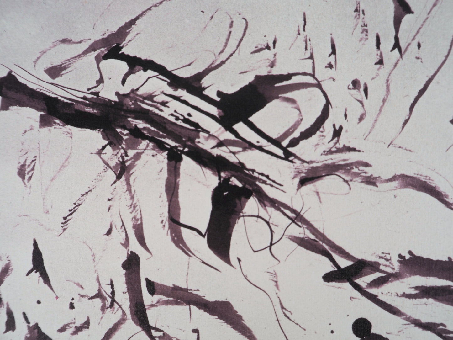 Willem DE KOONING : Spolète sauvage - Lithographie
