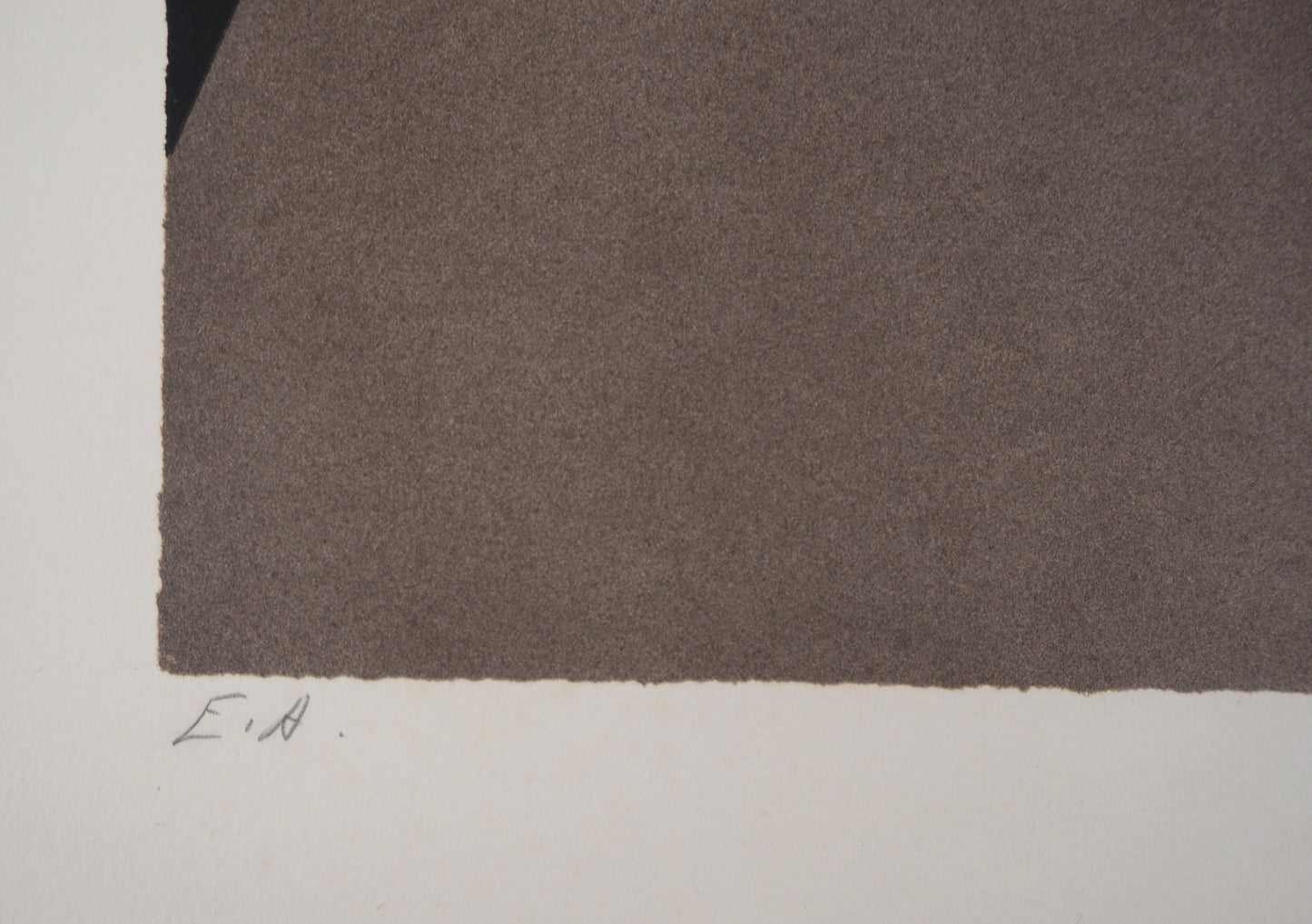 Pierre GARCIA FONS : Camélia - Lithographie originale signée