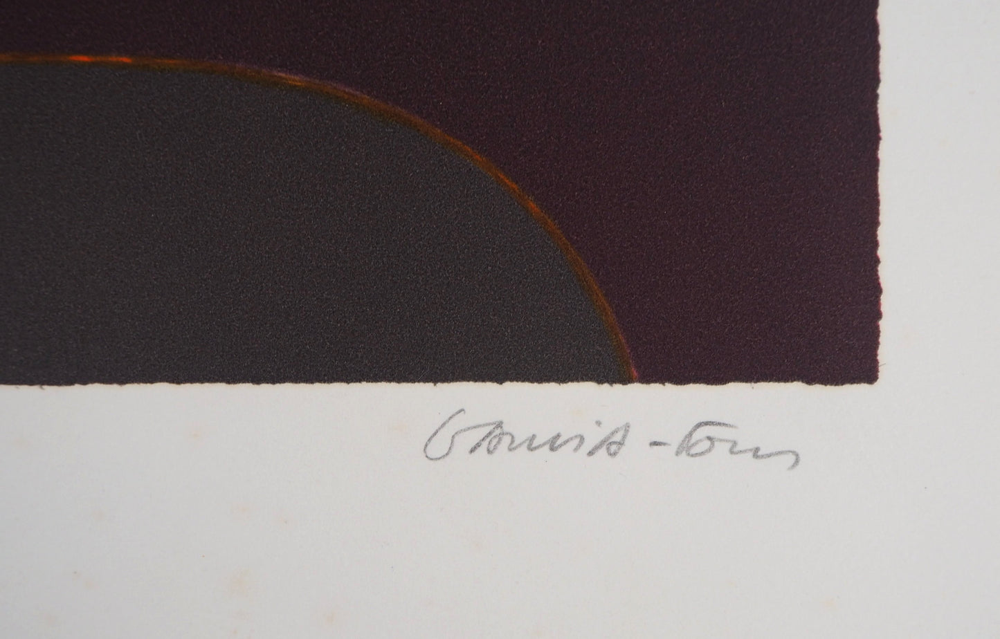 Pierre GARCIA FONS : Les fruits de la géométrie - Lithographie originale signée