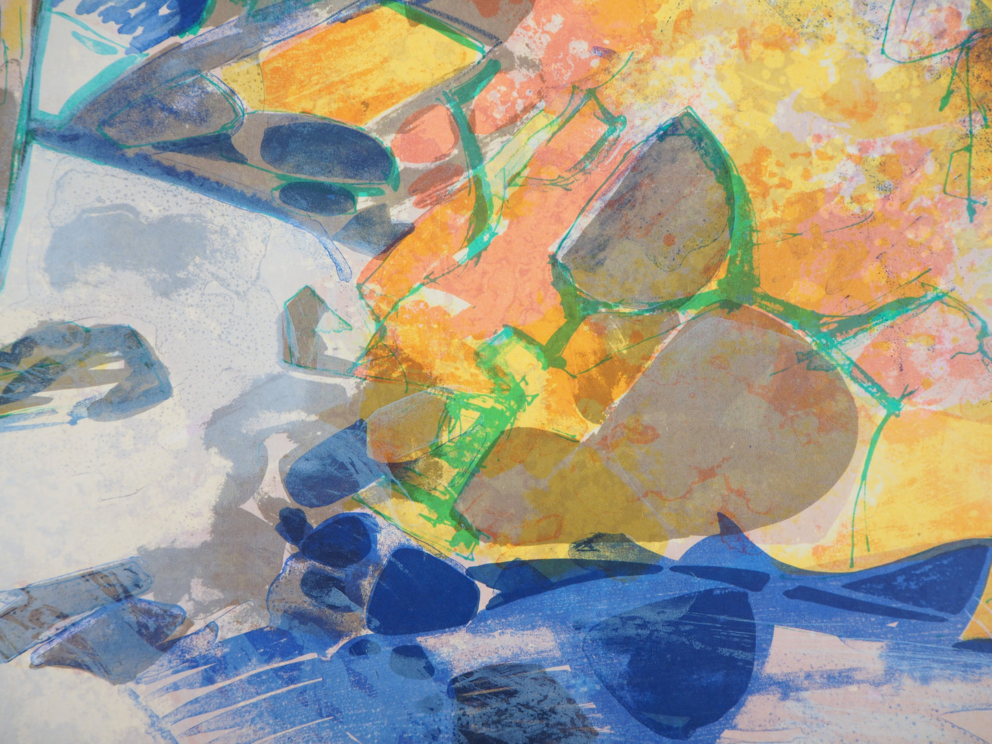 Camille HILAIRE : Paysage éclatant - Lithographie originale signée